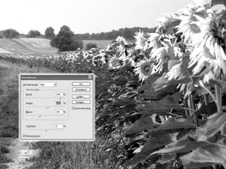 kleurenfoto zwart-wit kanaalmixer Photoshop