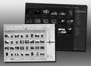 computer foto beheer Picasa Adobe Photoshop