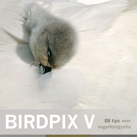 Fotoboek vogelfotografie