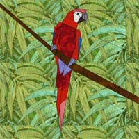 Indische papegaai - gratis blok van de maand