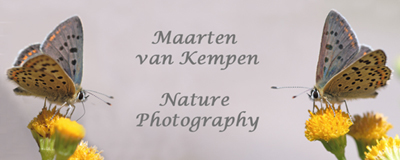 Natuurfotografie van Maarten van Kempen