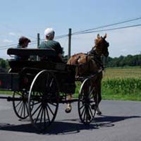 Quiltreis Amish vakantie
